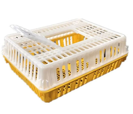 Live Poultry Carrier Crate Broiler Plastic Cage 7-10 Chicken Capacity