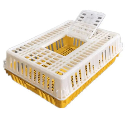 Live Poultry Carrier Crate Broiler Plastic Cage 7-10 Chicken Capacity