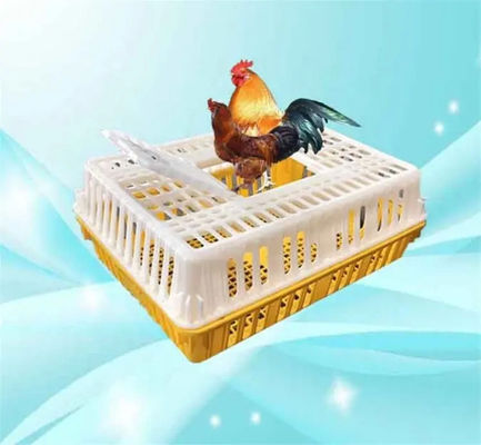 Live Poultry Carrier Crate Broiler Plastic Cage 7-10 Chicken Capacity