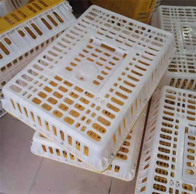 Live Poultry Carrier Crate Broiler Plastic Cage 7-10 Chicken Capacity