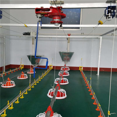 Chicken Breeding Automatic Pan Feeder Poultry Pan Feeding System