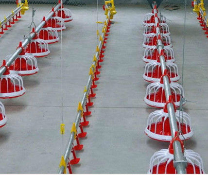Fully Auto Chicken Feed Auger System Poultry Auger Feeder For Farm