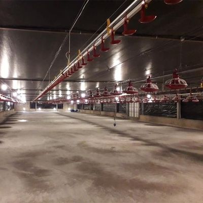 Automatic feeding pan line poultry feeders and drinkers chicken