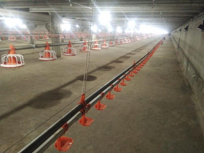 Automatic Poultry Broiler Pan Feed Feeding System for floor ground farm house China factory