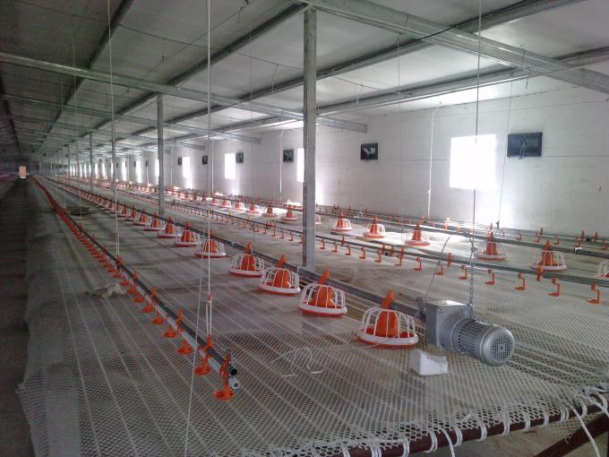 Automatic auto chicken quail poultry Nipple Drinker with drip cup 22mm square tube pipe poultry equipment