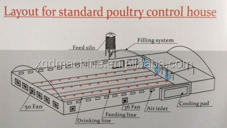 Automatic poultry watering water system for chicken broilers layers quail farm