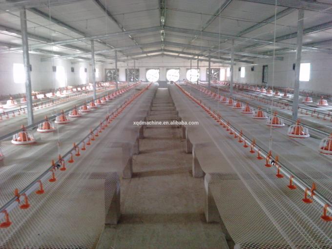 Automatic poultry watering water system for chicken broilers layers quail farm