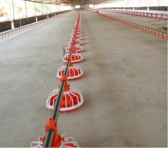 自動鶏家禽装置鶏の給餌ライン 50-100kg/H 0