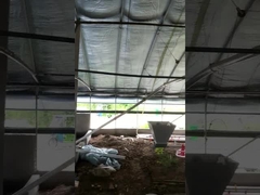 調節可能なカスタマイズされた自動養鶏場の送り装置装置の電圧