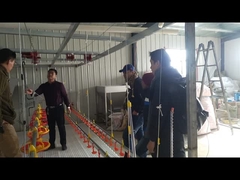 鳥の家禽育成の耕作のためのガチョウのアヒルの飲料水の給水系統の酒飲みのニップルWaterer